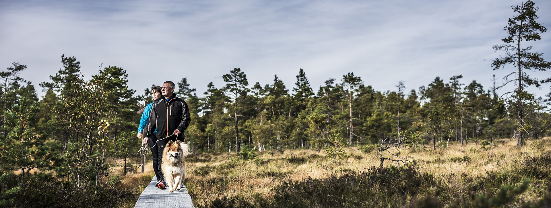 Bo i Ulricehamn - Par med hund vandrar på Komosse